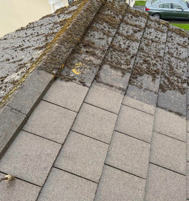 Roof Cleaning Kildare